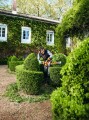 Nożyce spalinowe STIHL HS 56 C-E 60cm 3.jpg