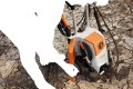 7447.jpg