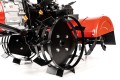 CEDRUSGLX640_12.jpg