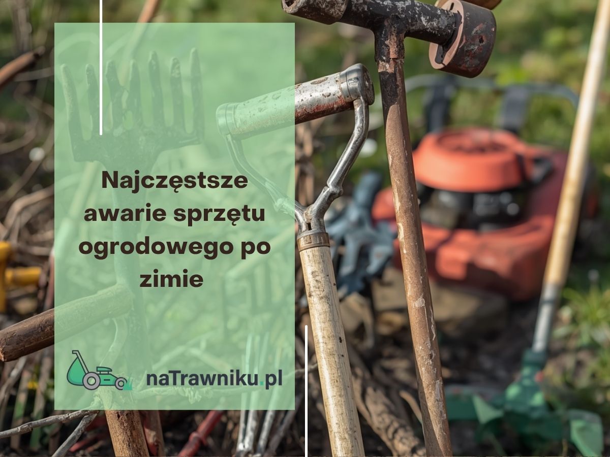 Najczęstsze awarie sprzętu ogrodowego po zimie i jak ich uniknąć